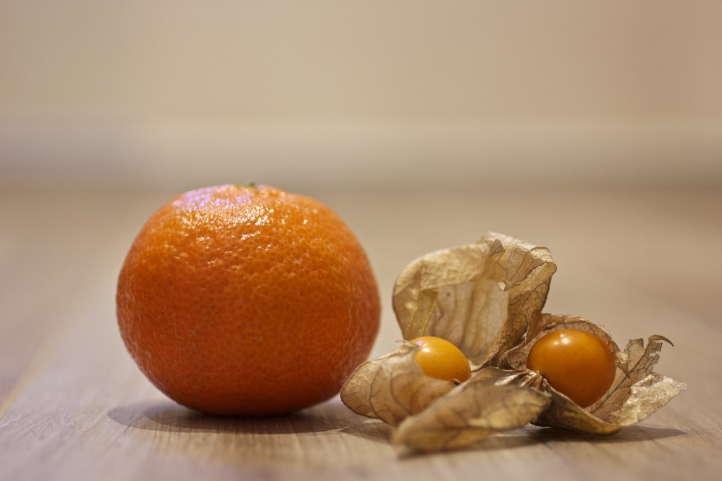 Clementines and Physalis by jamibann
