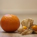 Clementines and Physalis by jamibann