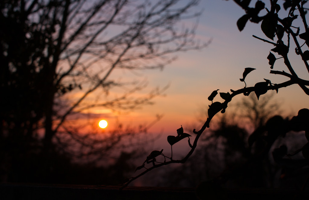 sunrise silhouette by jantan
