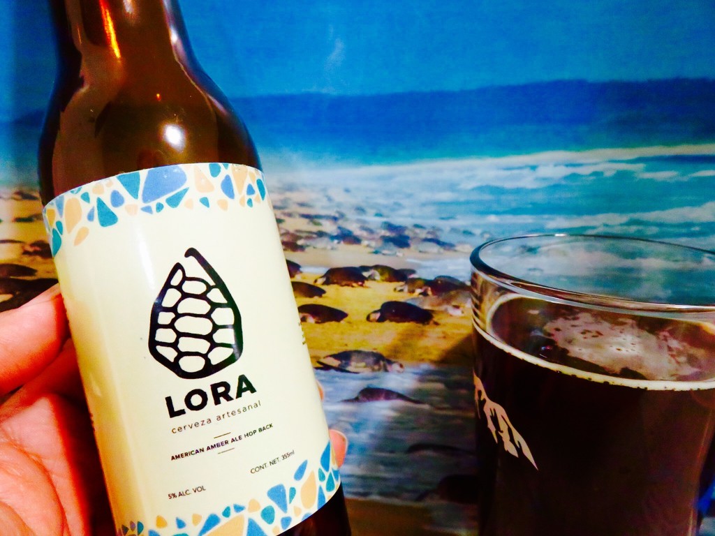 Cerveza Pro-Tortuga Marina by axiutli