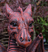 28th Jan 2016 - 022 - Here be dragons