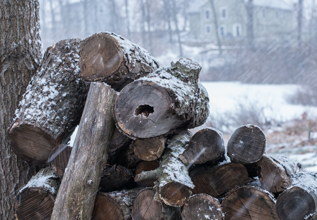 Wood pile by dridsdale