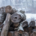 Wood pile by dridsdale