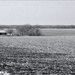 Winter Farmland, St. Jacob, IL by lsquared