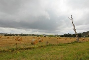 29th Jan 2016 - Round bales in a square paddock....