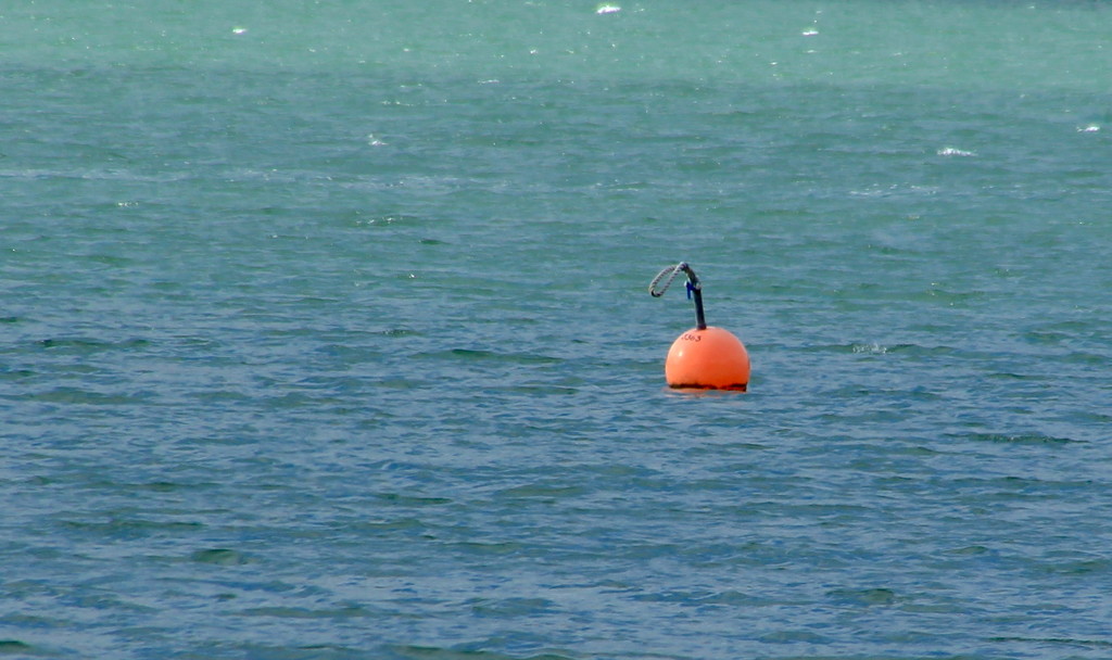 Floating alone by kiwinanna
