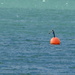 Floating alone by kiwinanna