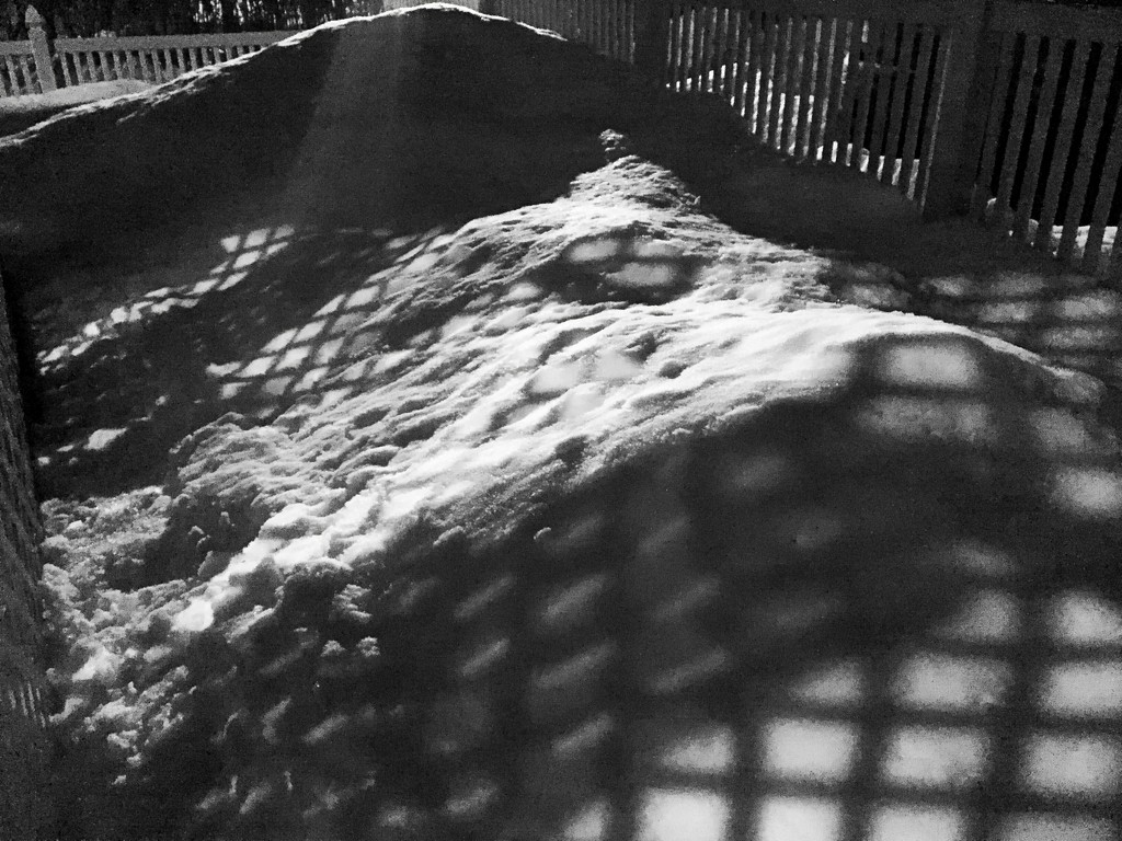Snow Shadows by digitalrn