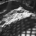 Snow Shadows by digitalrn
