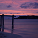 Hamelin Bay Sunset_DSC2099 by merrelyn