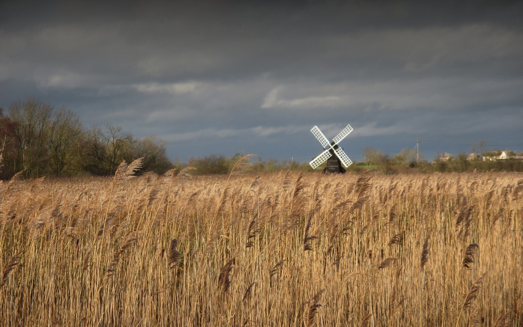 Wicken Fen and Angry Sky by g3xbm