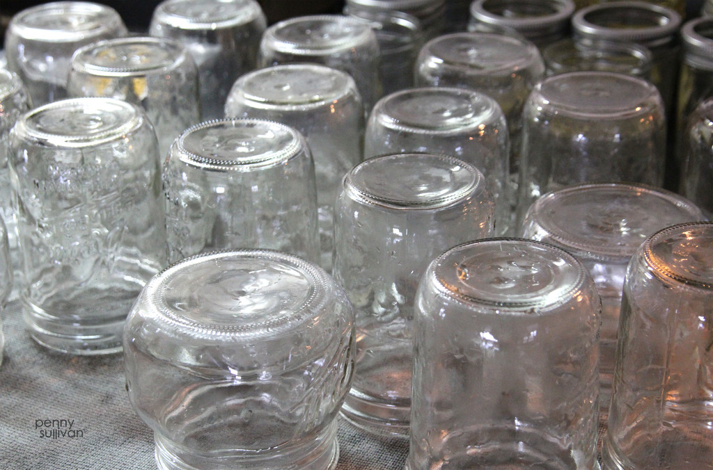 028_9411 Clean jars...not for caning though by pennyrae
