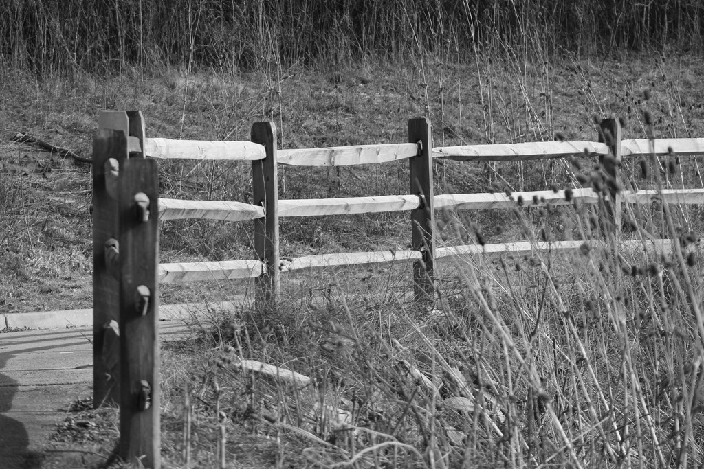 Wooden Fence by randy23