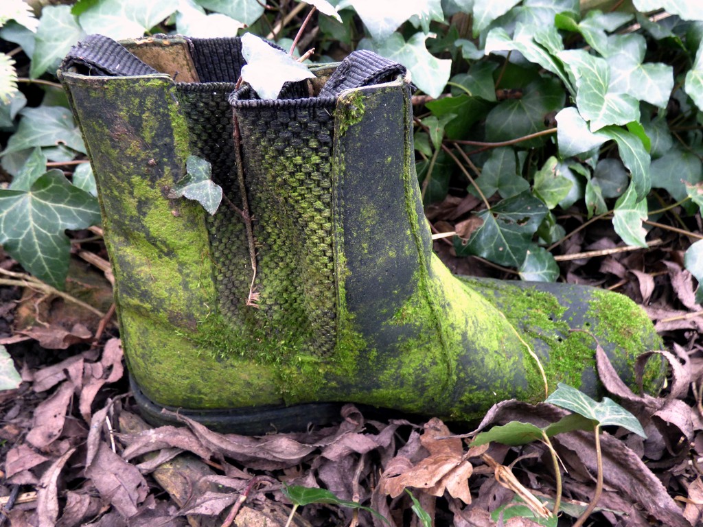 Anyone lost a boot? by julienne1