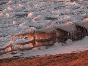 29th Jan 2016 - Sun On the Icy Fence