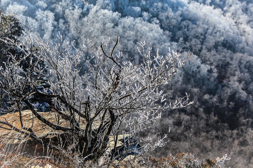 Mountainside Covered in Frost by milaniet