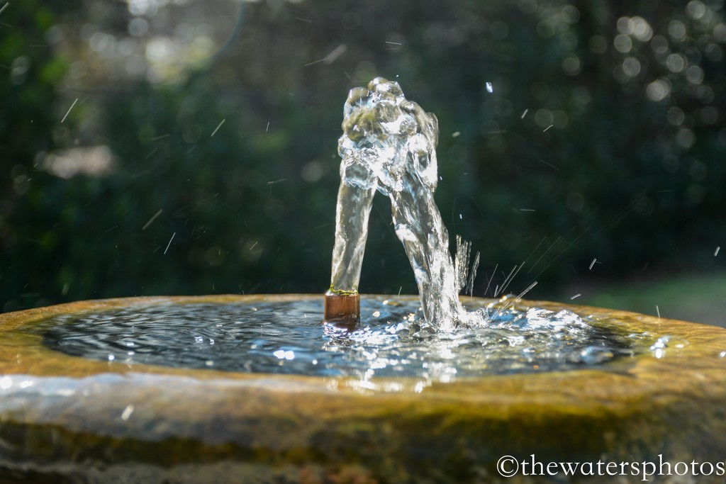 Backyard fountain by thewatersphotos