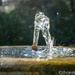 Backyard fountain by thewatersphotos