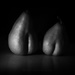 Pears Gone Wild by pixelchix