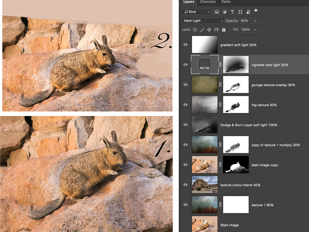 Viscacha in progress by ltodd