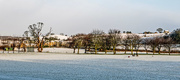 30th Jan 2016 - Snow in the park