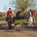 Fox hounds by barrowlane