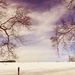 Snowy Meadows by digitalrn