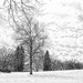 The Greys Of Winter by digitalrn