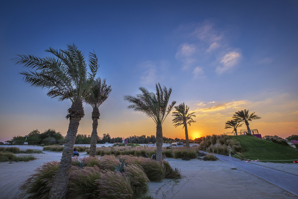 Day 029, Year 4 - Sundown At Doha Golf Club by stevecameras