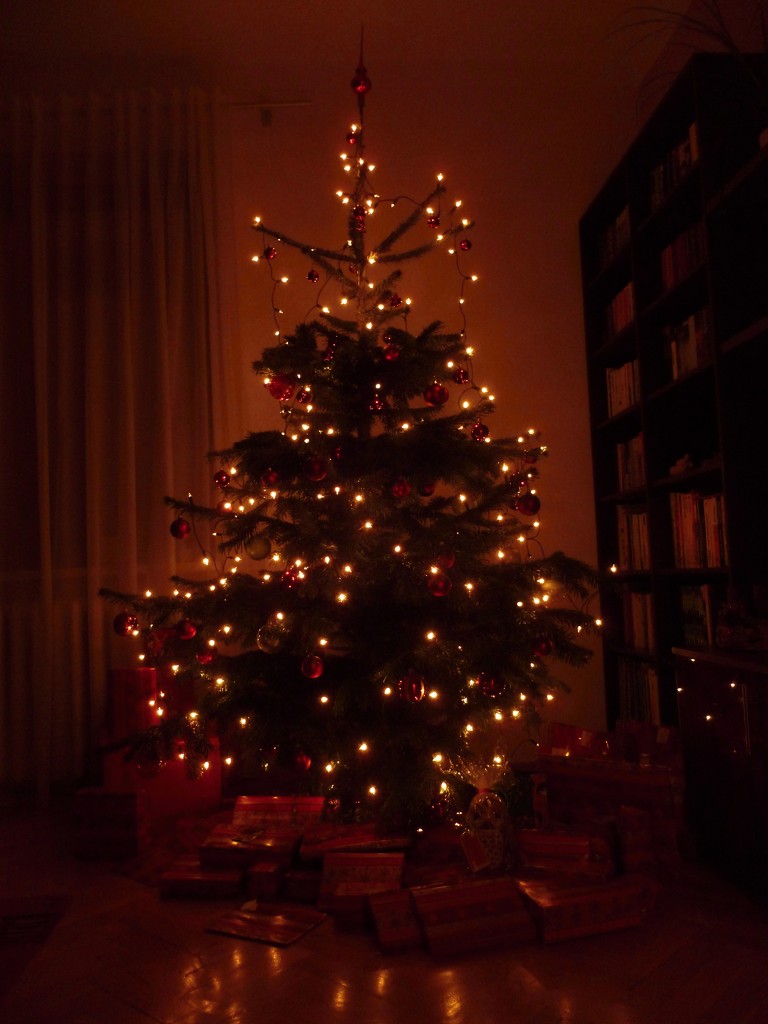 Our tree :) by gabis
