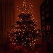 Our tree :) by gabis