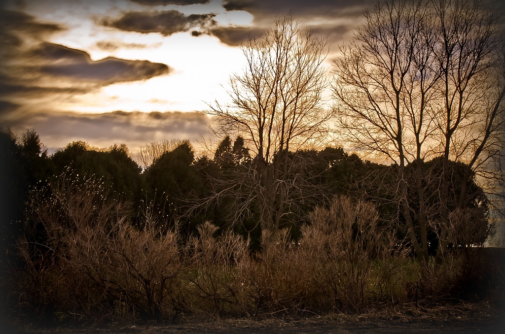 Woodland Sunset by bluemoon