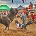 Bull 1 Cowboy 0 by teodw