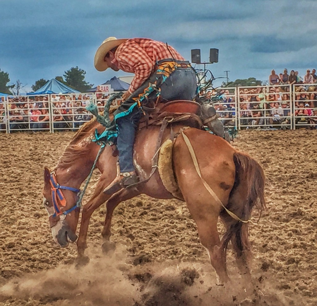 Ride 'em cowboy! by teodw
