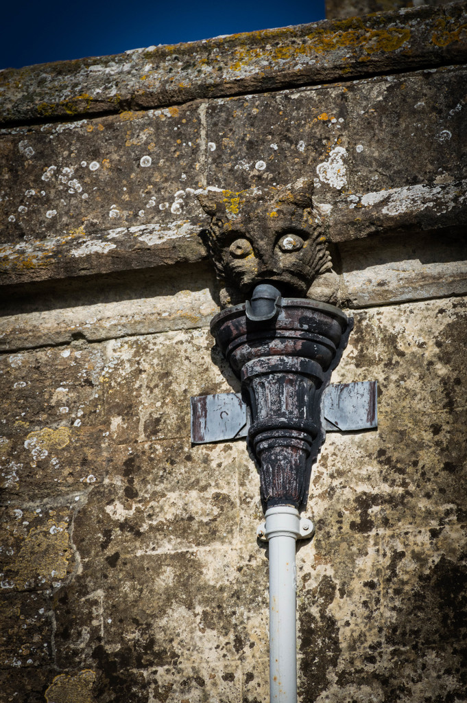 Even the drains are guarded by a gargoyle! by susie1205