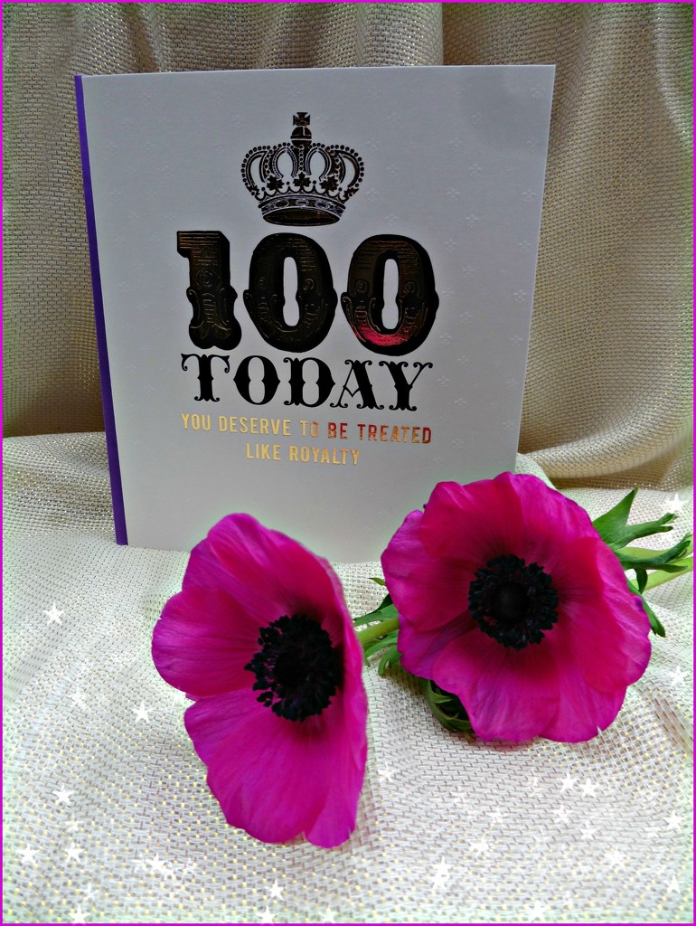 100th Birthday. by wendyfrost