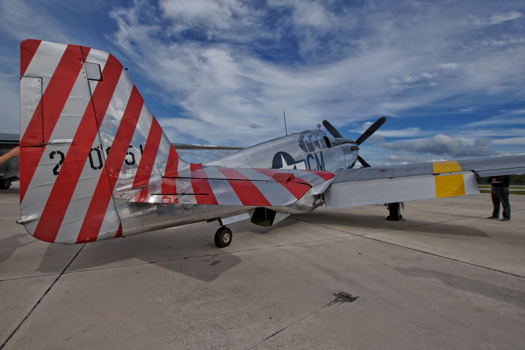 P51 Mustang "Betty Jane" WWII Fighter by danette