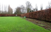31st Jan 2016 - Anglesey Abbey - herbaceous border in winter