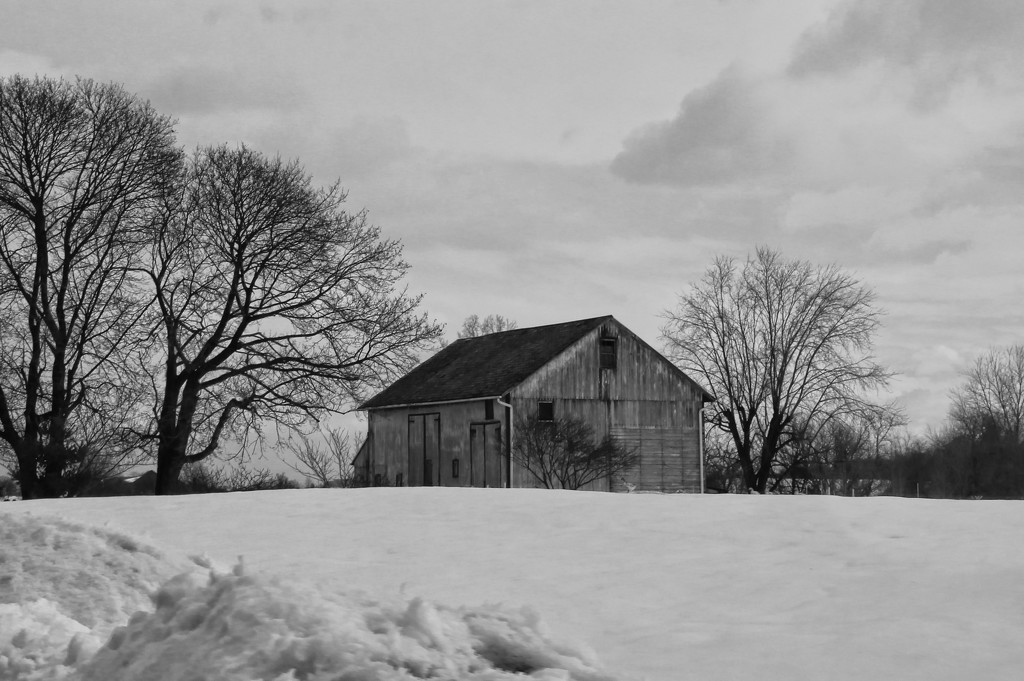 Snowbound Farm by digitalrn