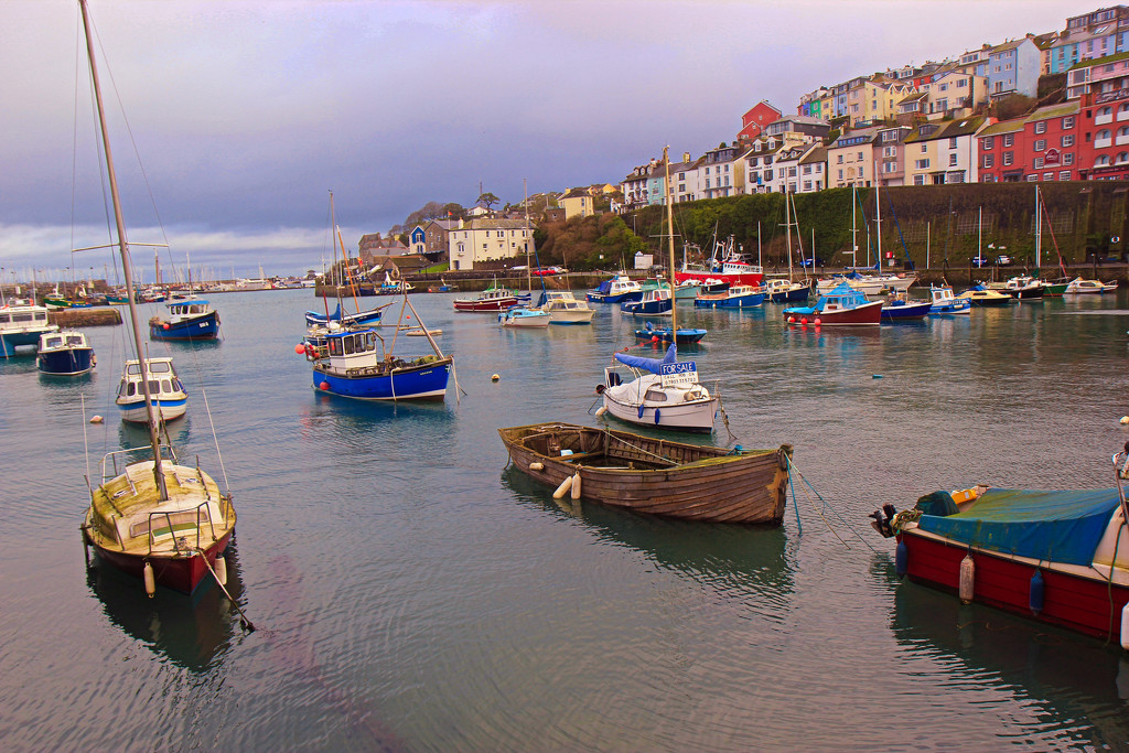 Brixham Harbour by cookingkaren