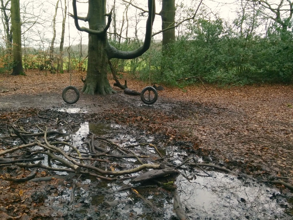 Two Tyres and a Puddle by bulldog