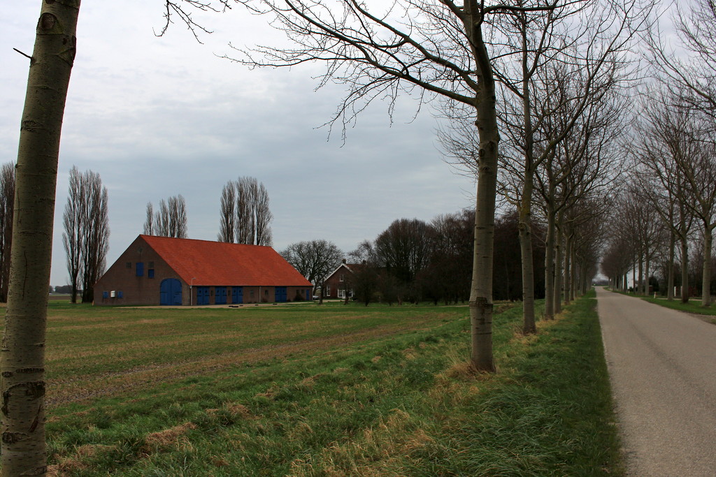 Country road with a farm-house and barn . by pyrrhula
