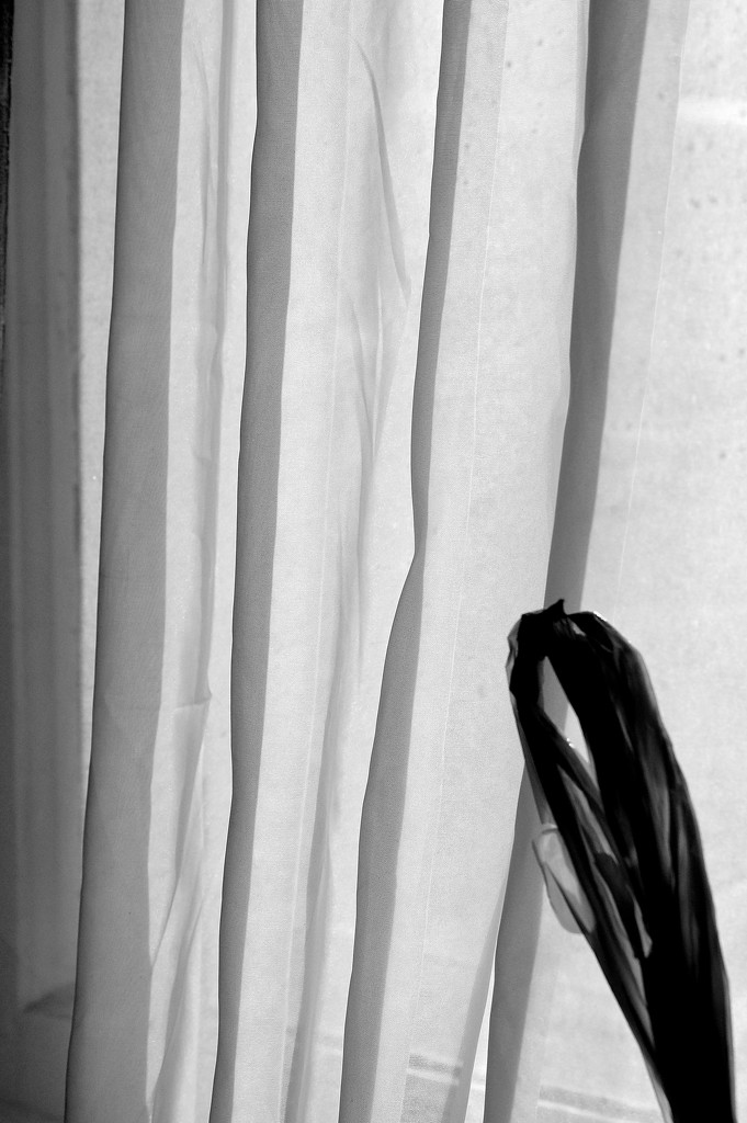 Curtain Folds by meotzi