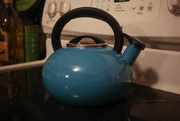 29th Jan 2016 - The Turquoise Time-Traveling Tea Kettle