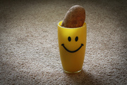 1st Feb 2016 - Smiley cup potato head
