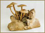 1st Feb 2016 - Wooden Mushrooms