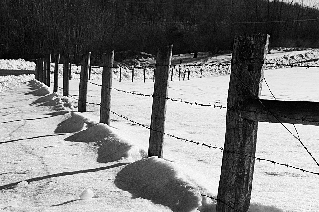 Fence with snow mounds. by francoise