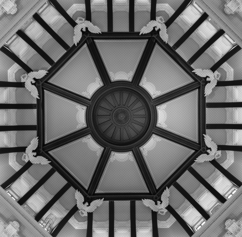 Tokyo Station Ceiling BW by darylo