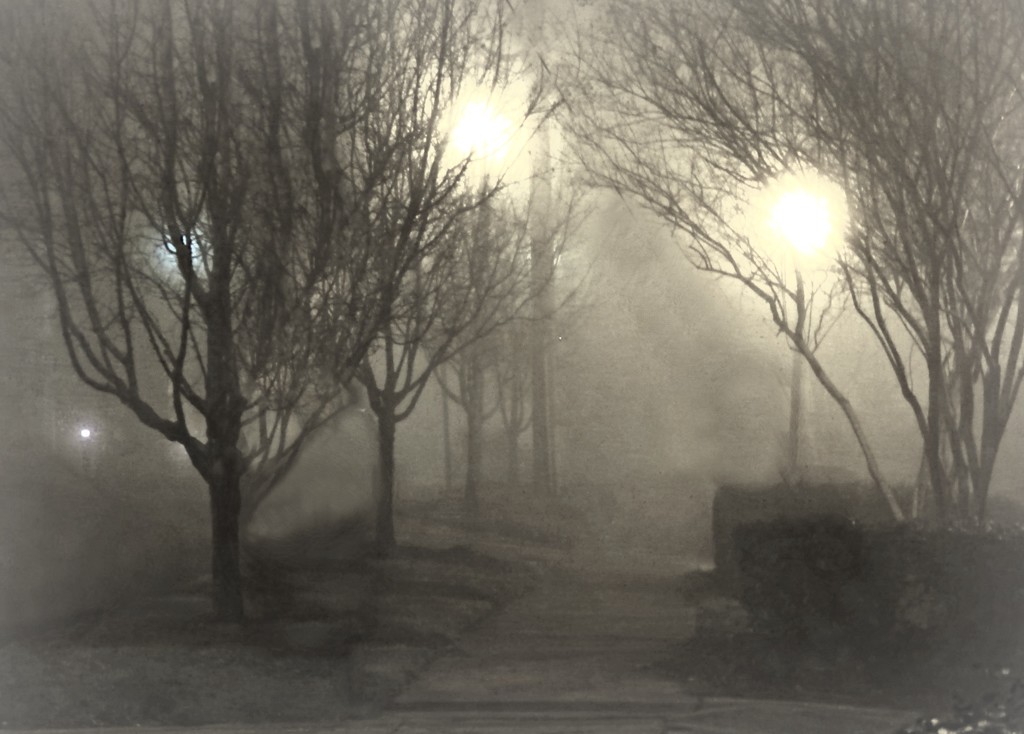 Ground Fog Day by peggysirk