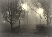 2nd Feb 2016 - Ground Fog Day